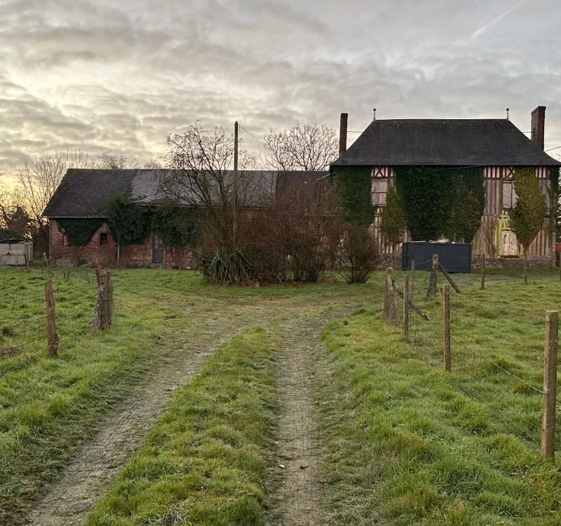 Location de cinq bennes 10 m³ succession immobilier Le Torp Le Torp-Mesnil 76560 - detail